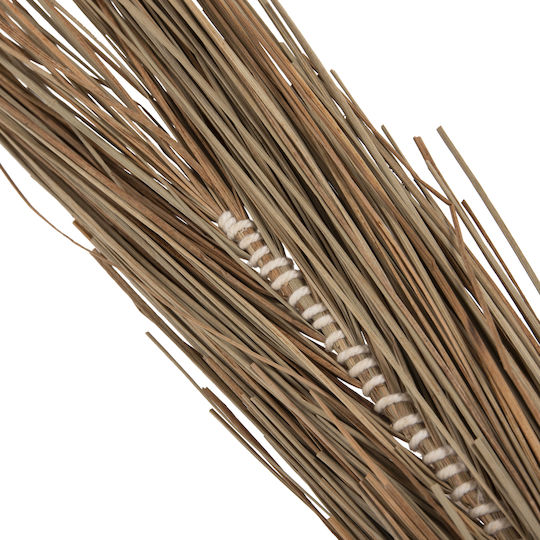 Διακοσμητικο Δεντρο Tropic Hm4324 Τ.φοινικα Mendong Grass 280yεκ
