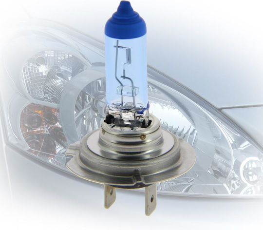 Michelin Λάμπες Αυτοκινήτου H7 Xenon Γαλάζιο 12V 55W