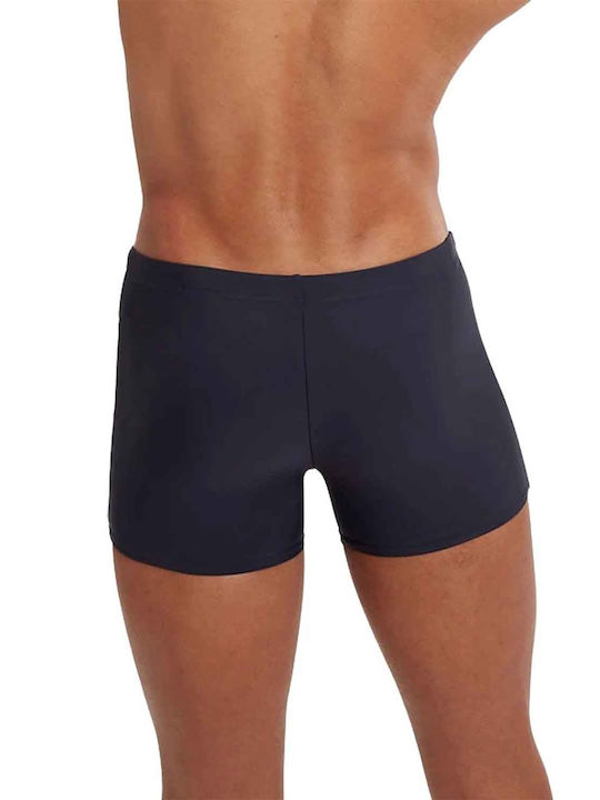 Speedo Logo Herren Badebekleidung Shorts Blau