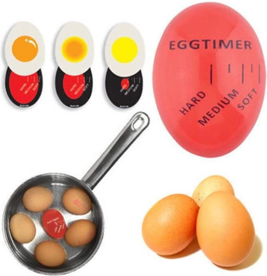 Countdown Analog Kitchen Timer