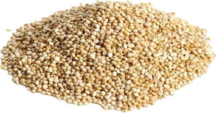 Nostos Pure Bio Saatgut Quinoa 1000gr