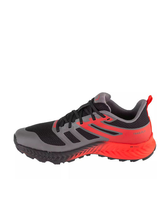 Inov-8 Trailfly Sport Shoes Multicolour