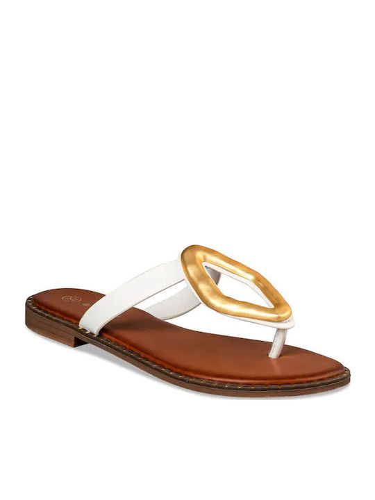 Envie Shoes
