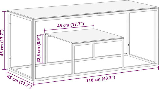 Rectangular Central Glass Coffee Table Silver M110xW45xH45cm