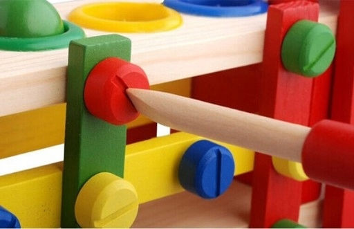 Zola Interactive Wooden Toy Car 4 Balls Screws Tools Included