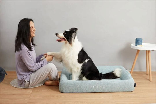 Petkit Bett Katze Türkis