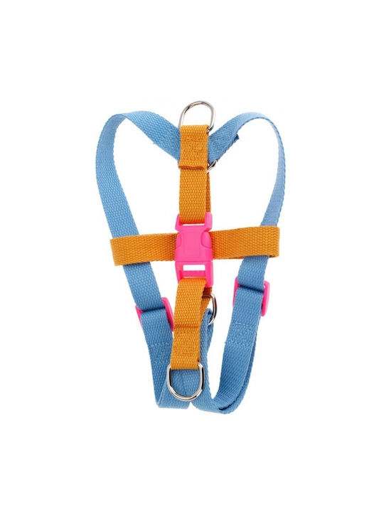 Koopman Hundegeschirre Blau Klein