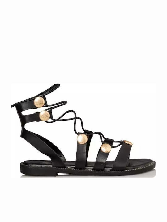 Envie Shoes