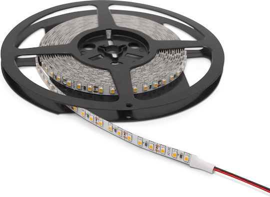 Ταινία LED Ψυχρό Λευκό Φως 5m