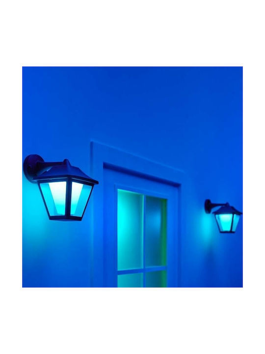 WiZ Klassisch Leuchte Wand mit Integrierter LED RGB Mehrfarbig 16x16x16cm