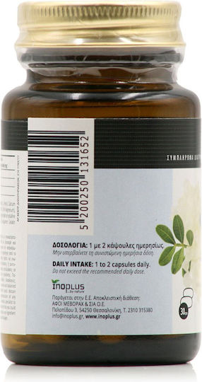 Ino Plus Gastro Relief Mastic Gum 30 κάψουλες Μαστίχα