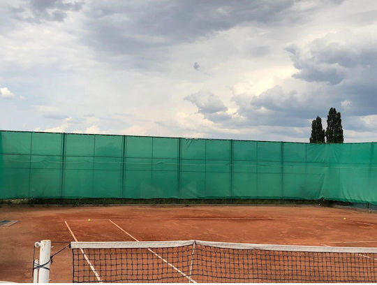 Strend Pro Ορθογώνιο Δίχτυ Σκίασης Πράσινο 2x10m 230gr/m²