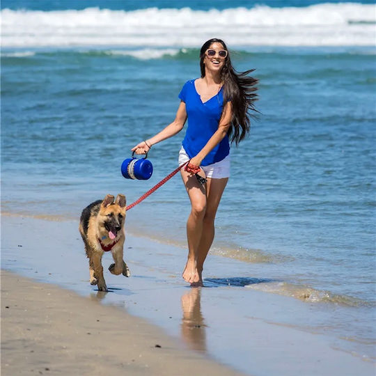 All For Paws Bowl Food & Water for Dog in Transparent Color