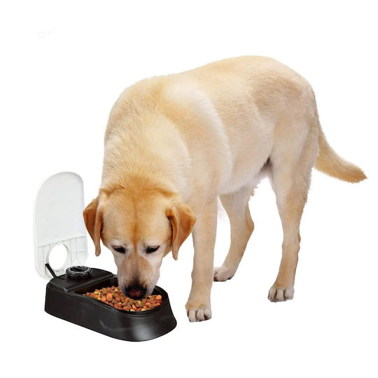 All For Paws Automatic Feeder for Dog & Cat 300ml in Black Color