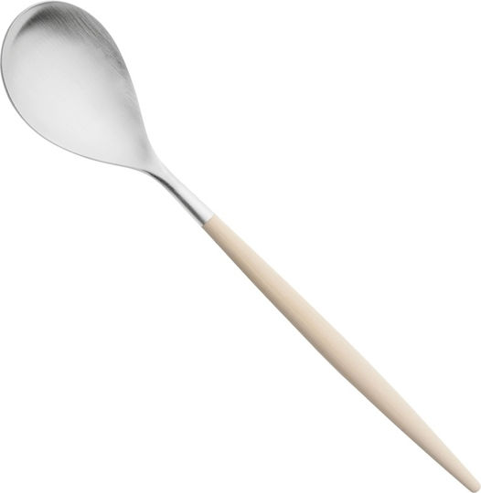 Ready Dinner Stainless Steel Silver 22cm Spoons 12 Pieces