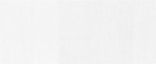 vidaXL Διακοσμητικό Παραβάν από Μπαμπού 165x165cm