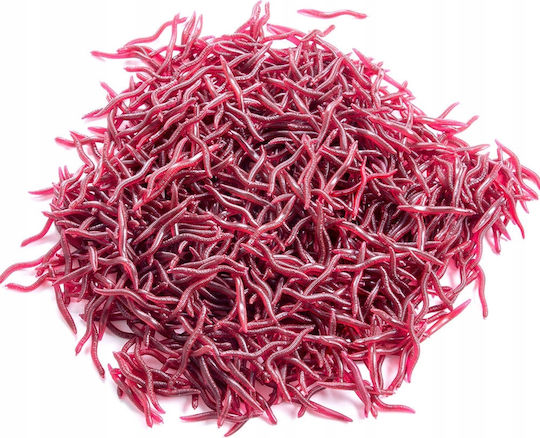 Künstlicher Köder 3.5cm Red Set 100Stück