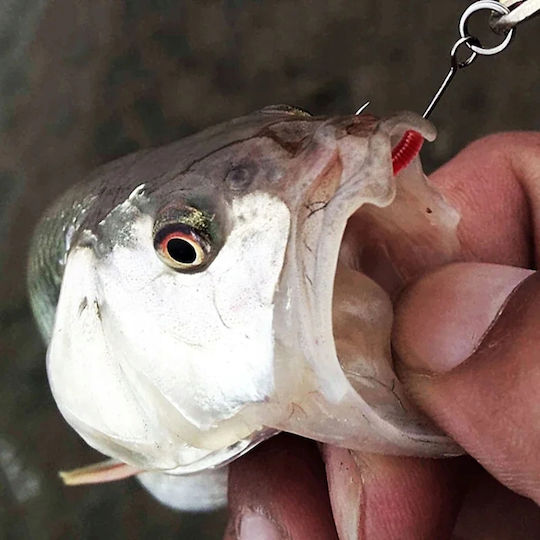 Artificial Bait 3.5cm Red