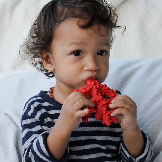 Lanco Natural Rubber Coral Teething Bath Toy