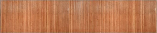 vidaXL Διακοσμητικό Παραβάν από Μπαμπού 165x165cm