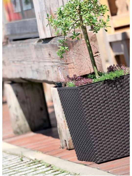 Κασπώ Rattan Γκρι 22.5x22.5x23εκ.