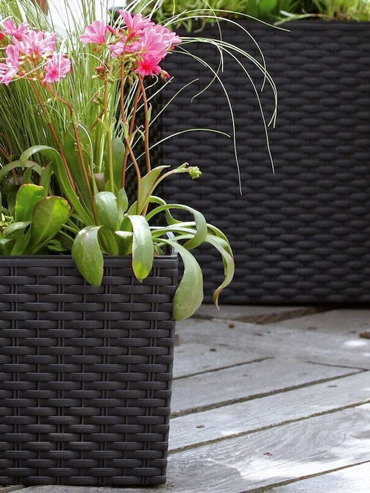 Κασπώ Rattan Γκρι 22.5x22.5x23εκ.