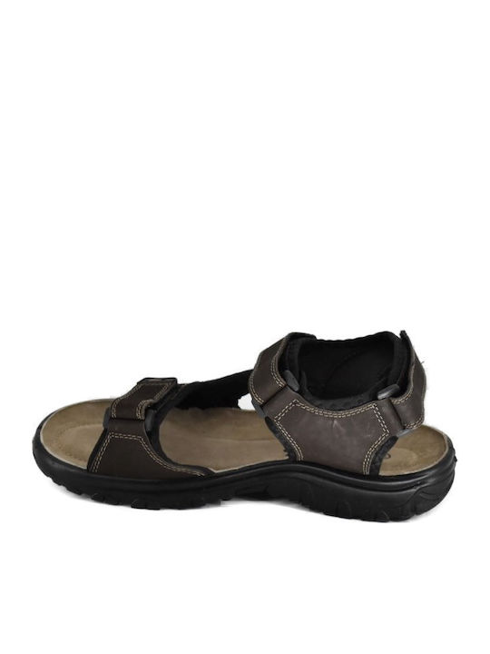 Adam's Shoes