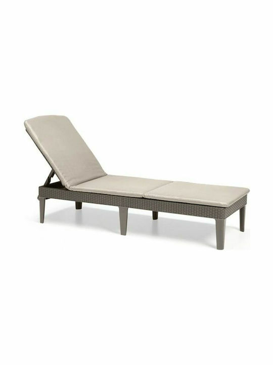 Șezlong Plastic cu Pernă Maro 187x58x29cm Șezlong Plastic cu Pernă Maro 187x58x29cm