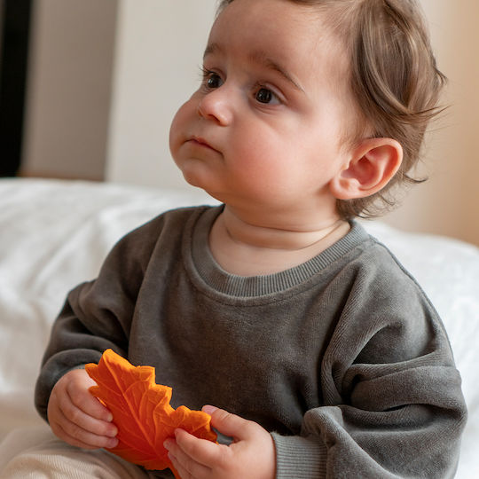 Lanco Teething Relief made of Rubber