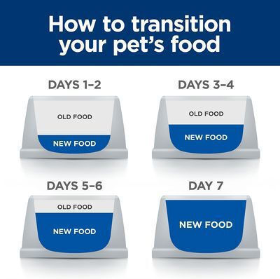 Hill's Prescription Diet Kidney Care K/D 12kg Dry Food for Dogs Gluten-Free with Meat
