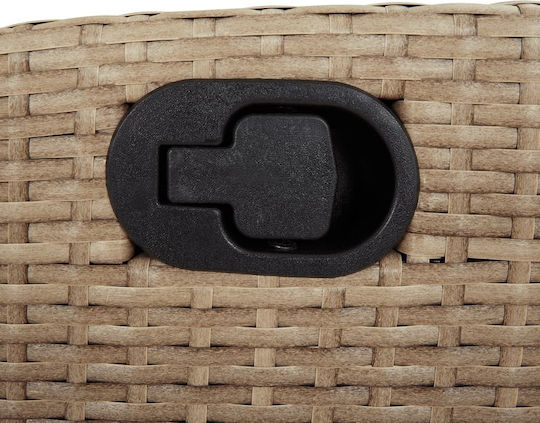 Outdoor-Stuhl Rattan Beige mit Kissen 2Stück 57x61x93εκ.
