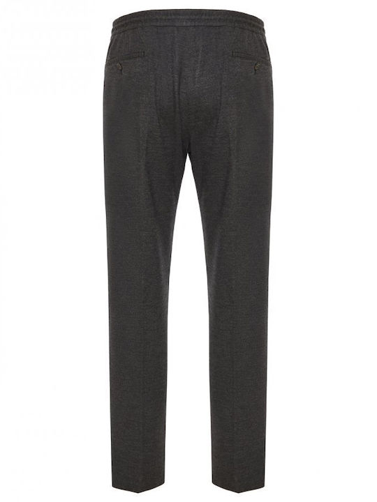 CC Collection Corneliani