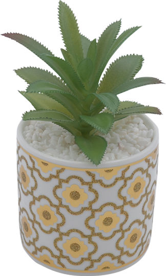 Alocasia In Topfpflanze Weiß 21cm Uncle George