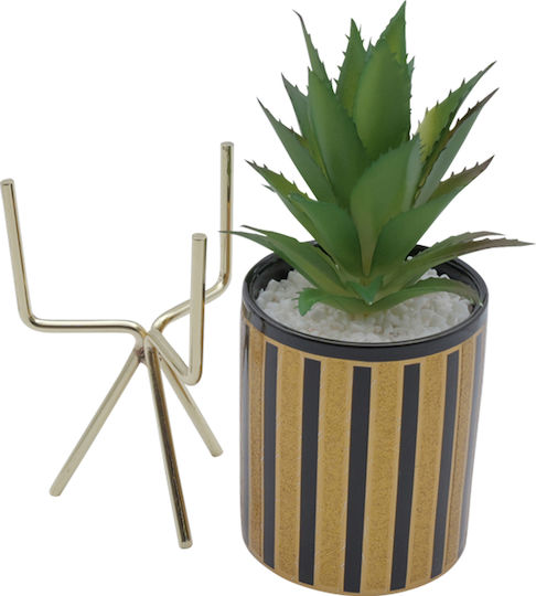 Aloe In Topfpflanze Braune 24cm Uncle George