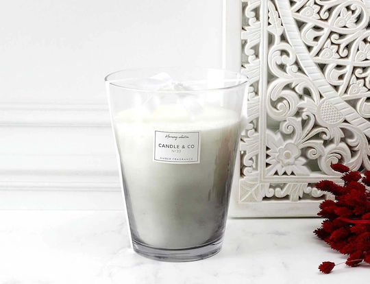 Aromatic Candle Harmony Home Deco Factory Burning Time 120 Hours Scent Amber Dimensions 18.7x23.3cm Bo5447