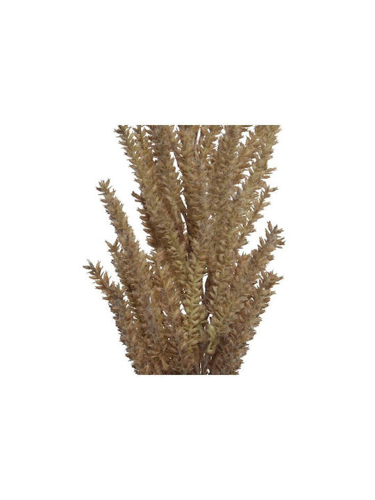 Kaemingk Artificial Decorative Branch Pampas Grass Brown 13cm 1pcs