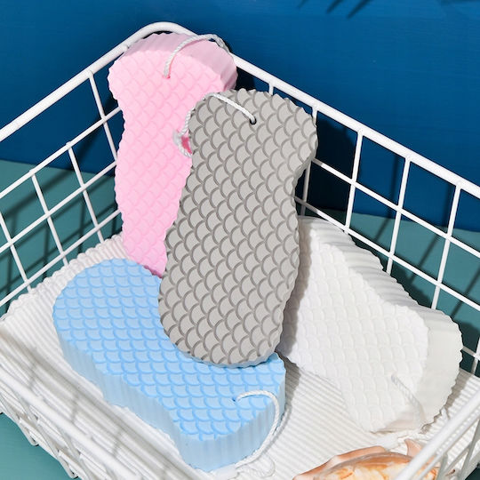 Sponge for Exfoliation (Random Selection) 4pcs
