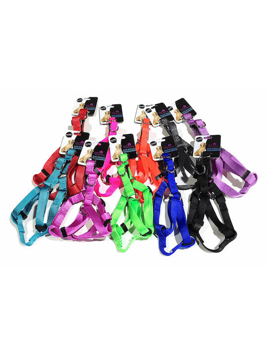 Pet Camelot Ρυθμιζόμενο Σαμαράκι Βιολετί Medium 50-70cmx20mm Pet Camelot Ρυθμιζόμενο Σαμαράκι Βιολετί Medium 50-70cmx20mm