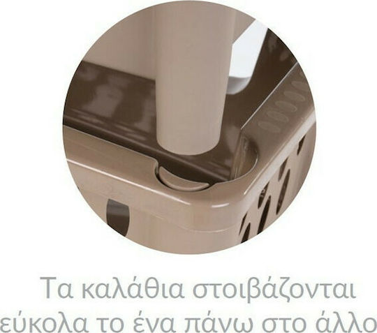 Homeplast Carina Καλάθι Αποθήκευσης Πλαστικό Brown 48.5x34x25cm