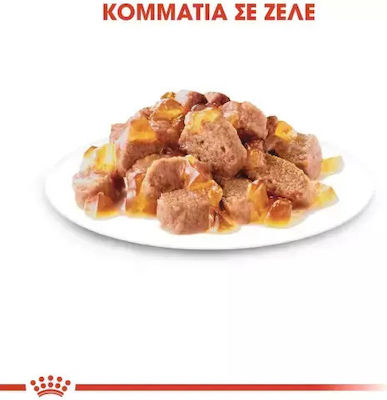 Royal Canin Υγρή Τροφή για Στειρωμένη Ενήλικη Γάτα 85gr