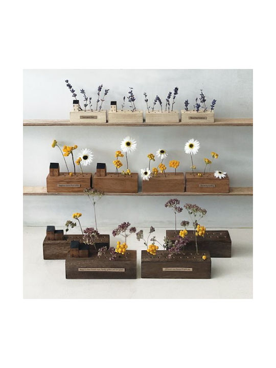 Synchronia Decorativ de Spațiu 4.5x7cm 1buc