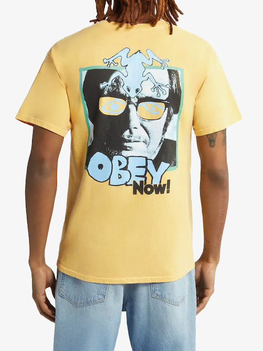 Obey