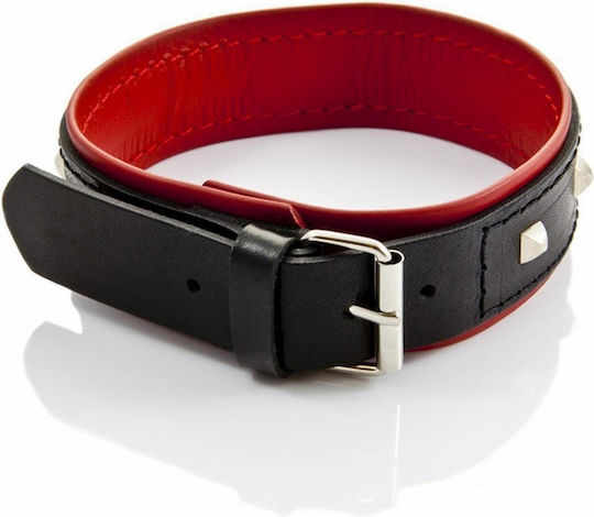 Ties-whips Women's Studded Collar