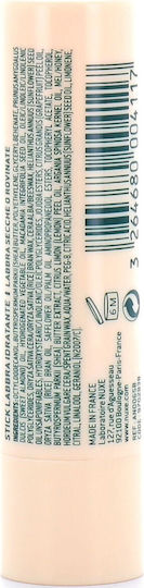 Nuxe Reve de Miel Feuchtigkeitsspendender Lippenbalsam mit Honig 4gr