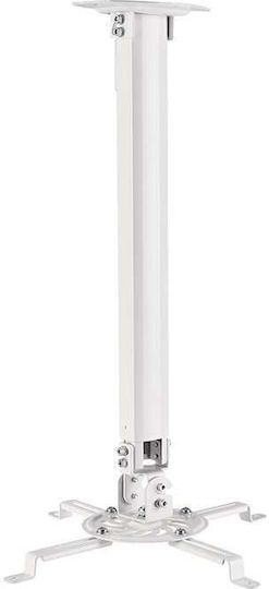 Blackmount Suport Proiector tavan cu Sarcină Maximă 13.5kg Alb