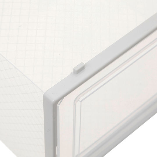 5Five Plastic Casetă pentru Pantofi 23.2x33.5x14cm 1buc