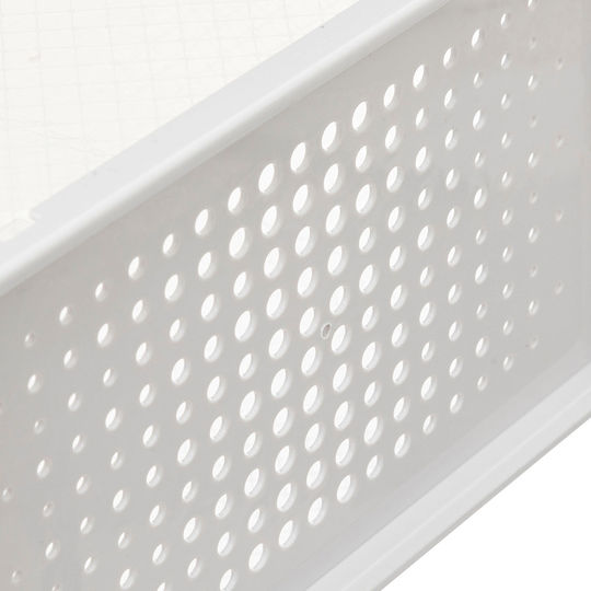 5Five Plastic Casetă pentru Pantofi 23.2x33.5x14cm 1buc