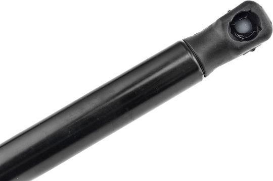 NTY Trunk Shock for Citroen C3 2002-2009