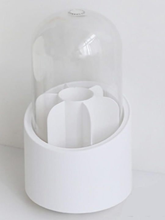 Cosmetics Organization Box With White Dividers