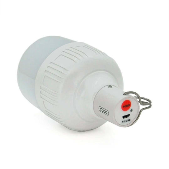 XO LED in White Color 1184